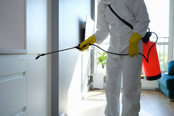 Best Toxic Mold Removal  in South Russell, OH