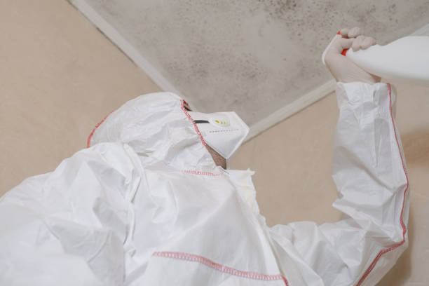 Best Mold Removal and Inspection  in South Russell, OH